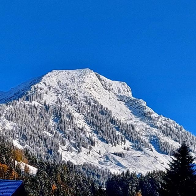 Apartmán Haus Ortner Russbach am Pass Gschütt Exteriér fotografie