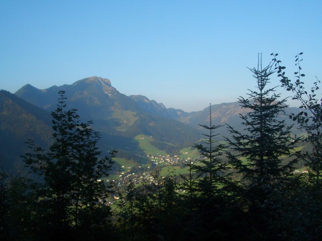 Apartmán Haus Ortner Russbach am Pass Gschütt Exteriér fotografie