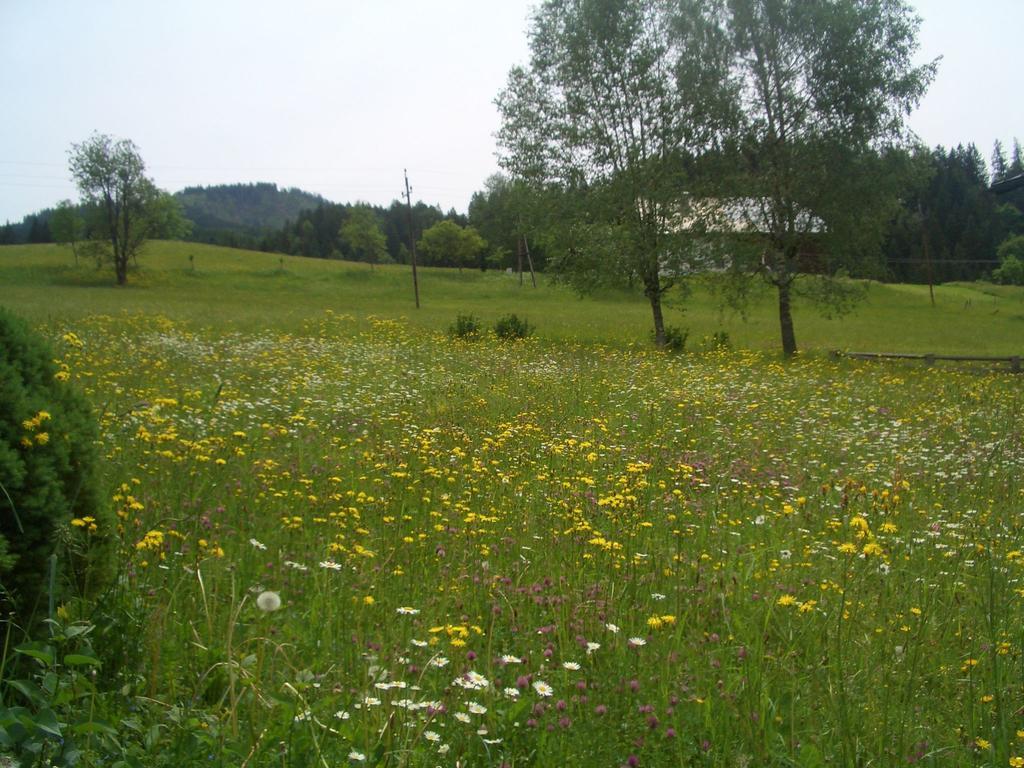 Apartmán Haus Ortner Russbach am Pass Gschütt Exteriér fotografie