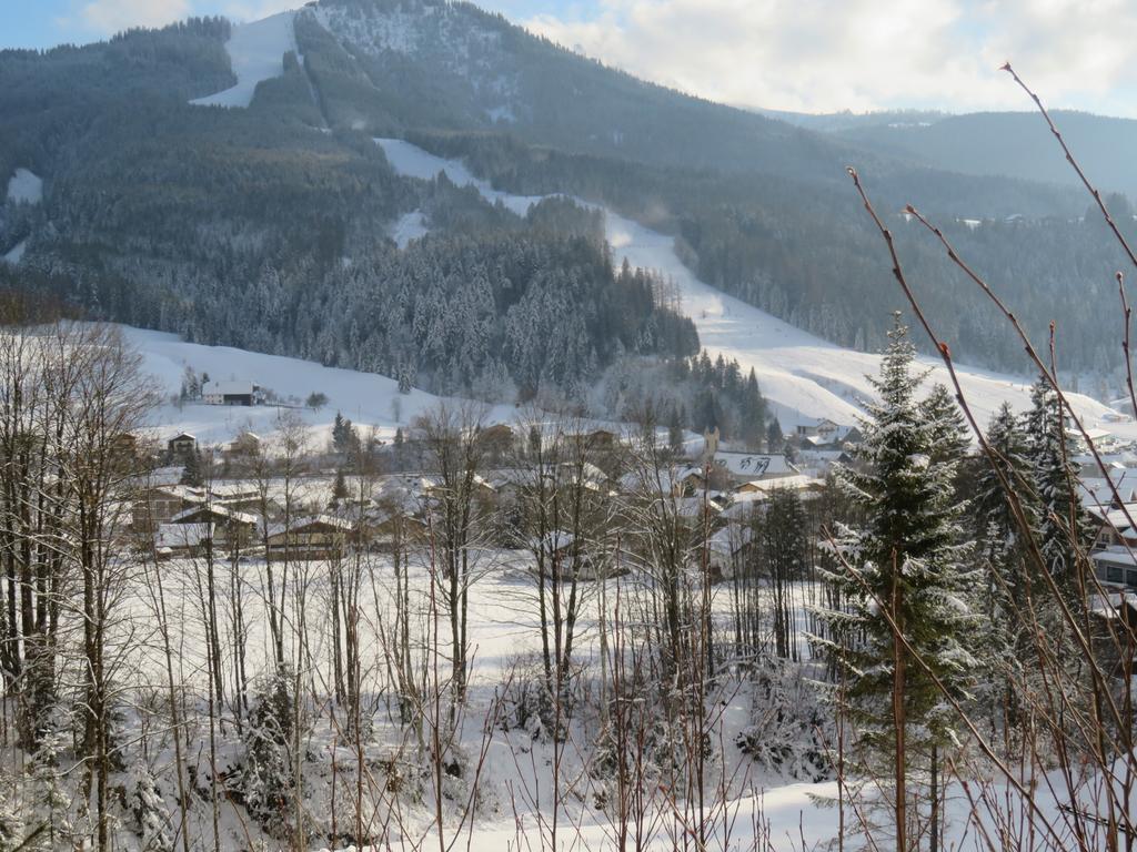 Apartmán Haus Ortner Russbach am Pass Gschütt Exteriér fotografie