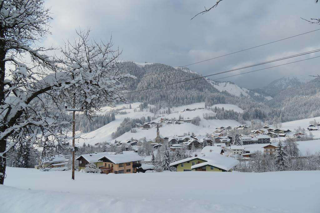 Apartmán Haus Ortner Russbach am Pass Gschütt Exteriér fotografie