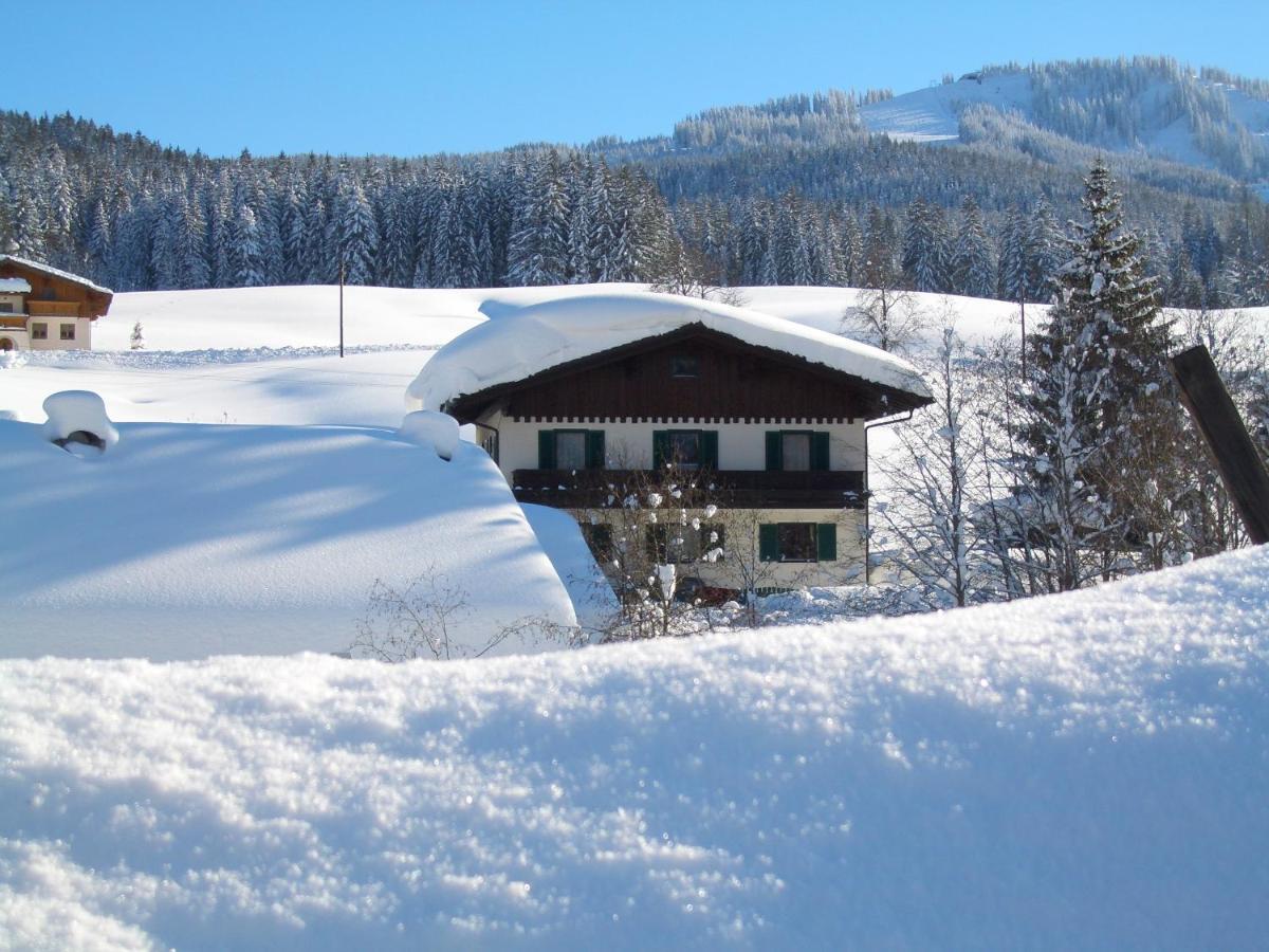 Apartmán Haus Ortner Russbach am Pass Gschütt Exteriér fotografie